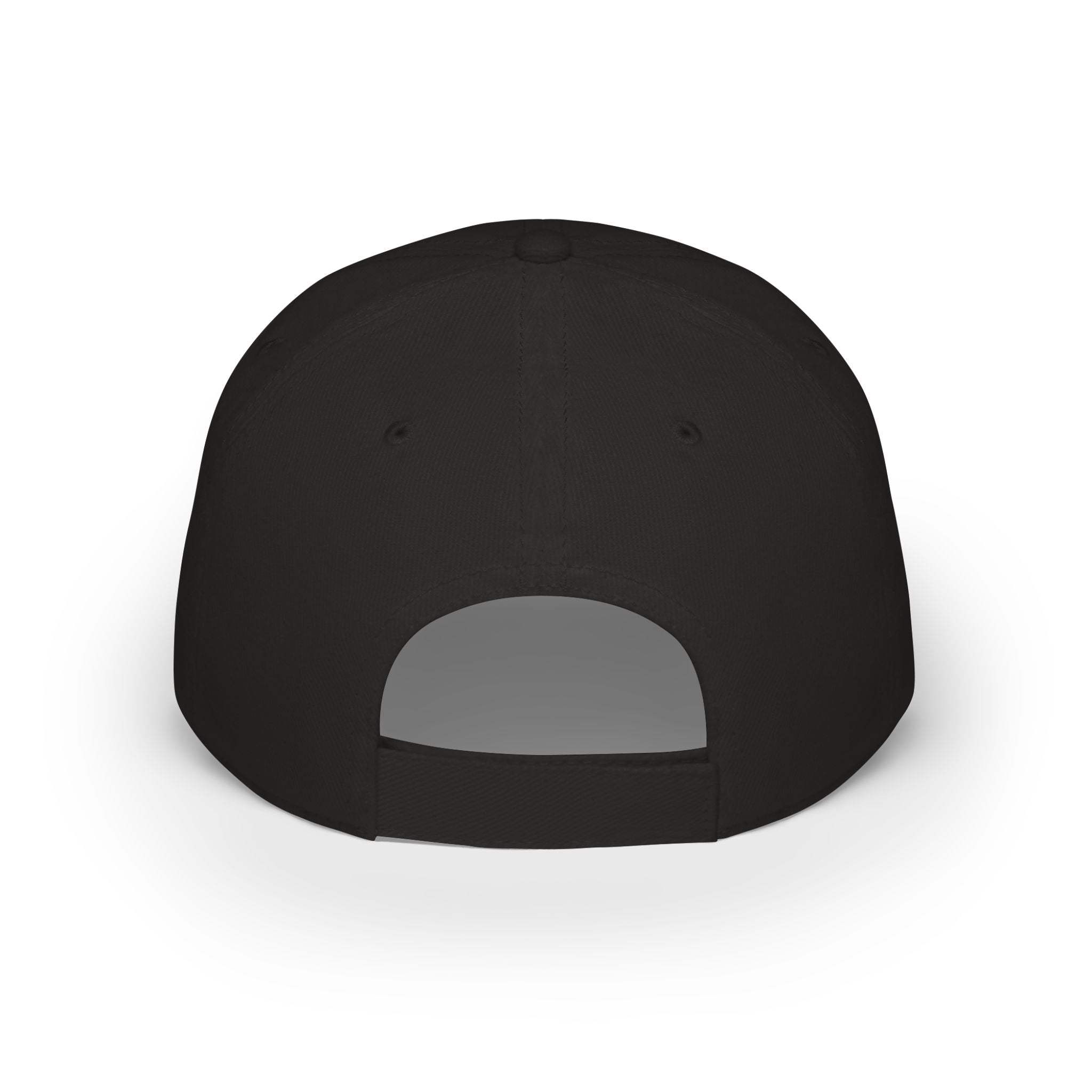 Get Pin’d Embroidered Hat | Funny Peptide Hat for Women